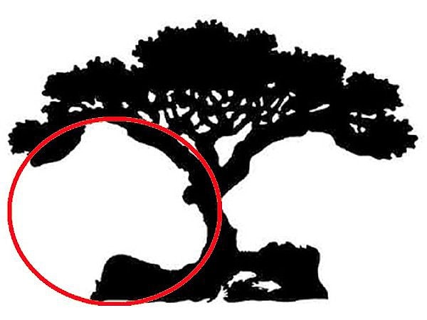 2. Если вы увидели гориллу