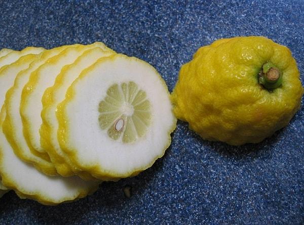 11. Yalnızca üç adet orijinal narenciye var: Pomelo, ağaçkavunu ve mandalina. Geri kalanlar hibrit. Örneğin portakal orijinal bir meyve değil, pomelo ve mandalin hibriti.