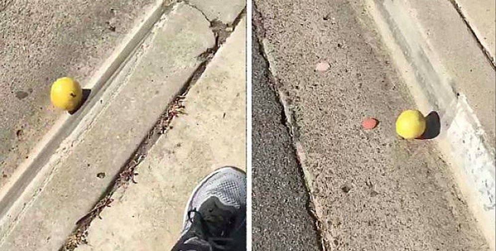 Житель Сан-Диего снял на видео, как лимон в течение 2-х минут катится по дороге. И его просмотрели уже более 6,5 млн раз