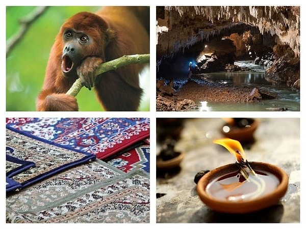 9. Что это за мультфильм?