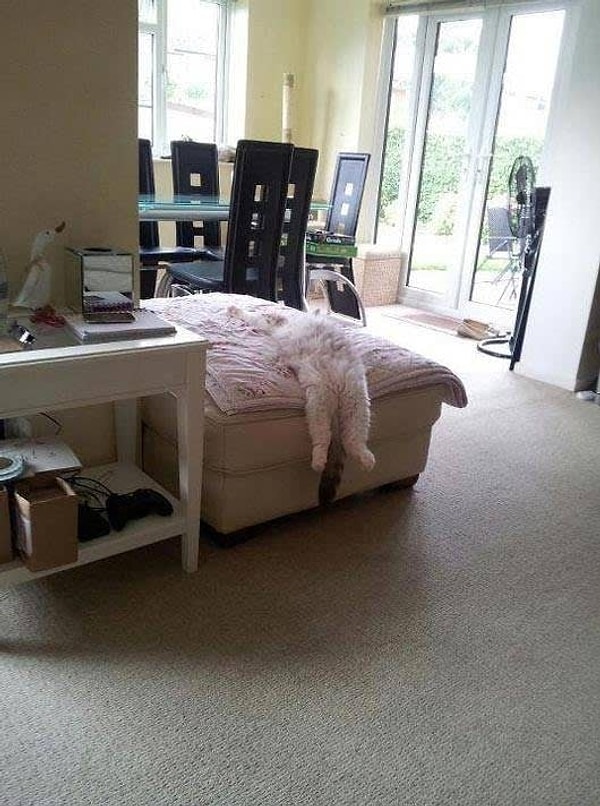 11. А если он у тебя есть, то ты 24/7 дома