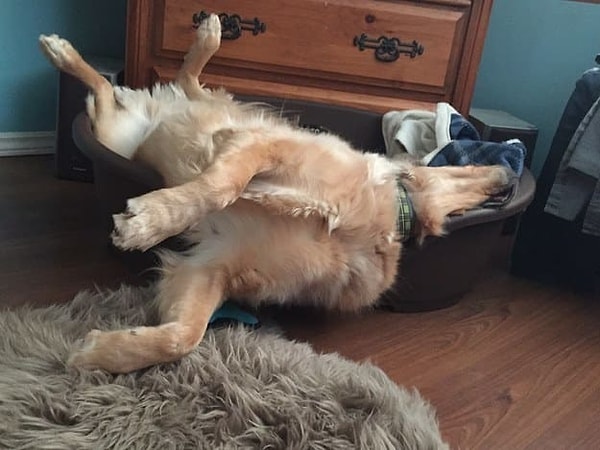 14. И если бы у тебя была батарея, она показывала бы 1%