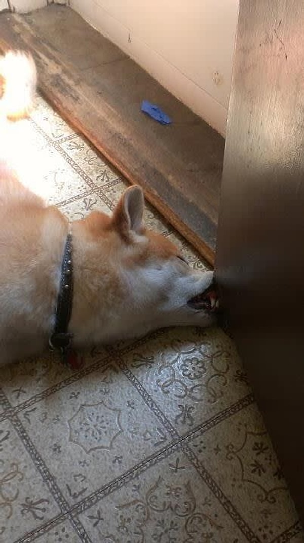 19. Пока не наступит осень