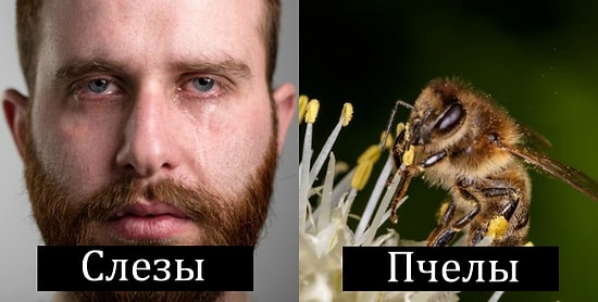 Парафилия: самые странные вещи, которые возбуждают людей