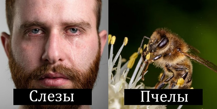 Парафилия: самые странные вещи, которые возбуждают людей