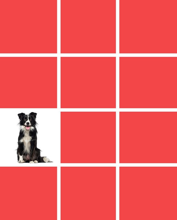 Показать правильный ответ