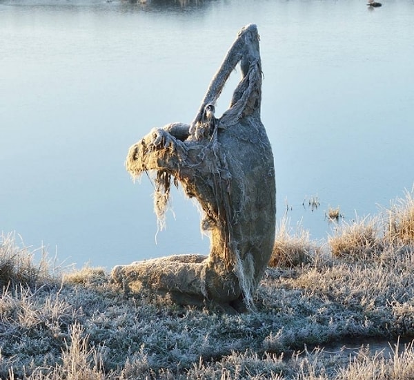 6. Не знаю как вы, а я после увиденного еще долго бы не отважилась снова выбраться на эту самую природу.