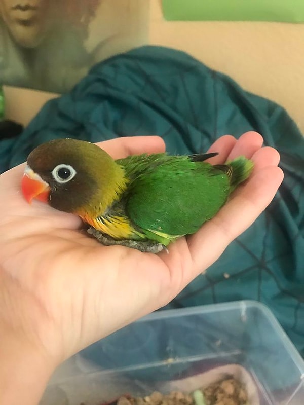 20. Один из "малышей" :)