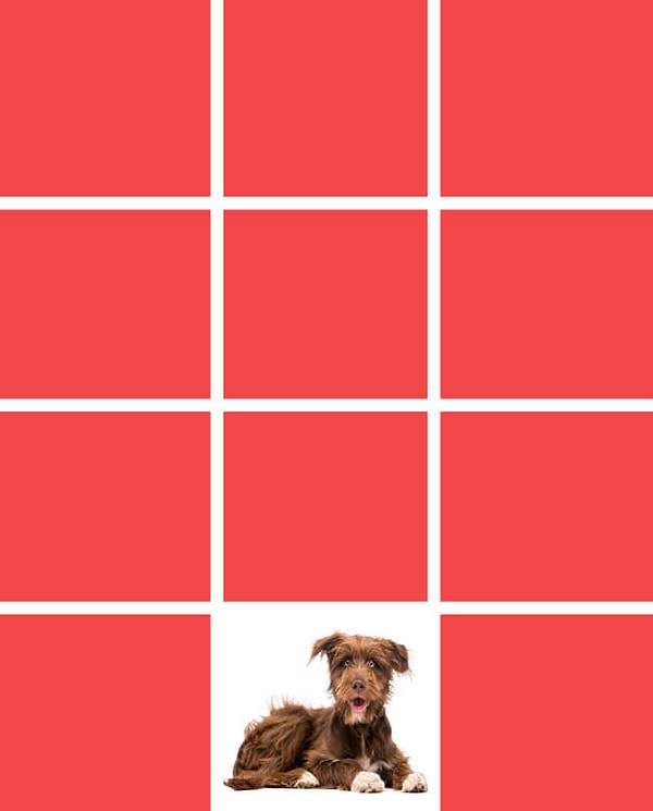 Показать правильный ответ