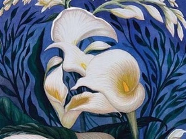 3. Что видите здесь?