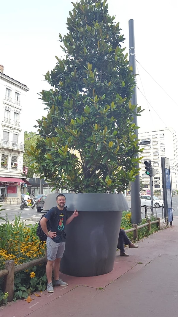 16. Хотели бы себе такое комнатное растение?