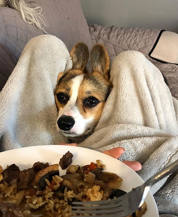 27. "Можно мне кусочек?"