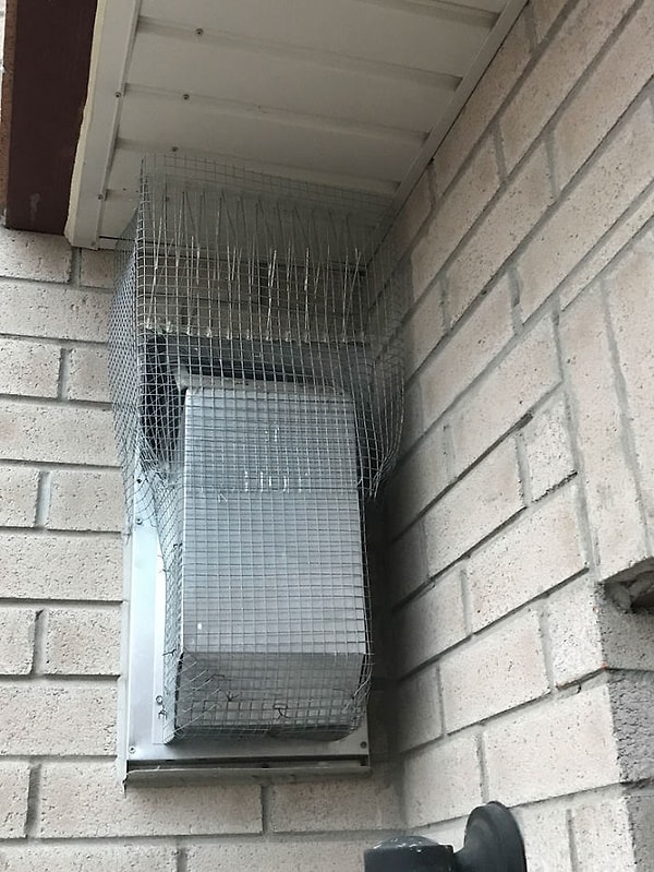 10. Все закрыто сверху донизу.