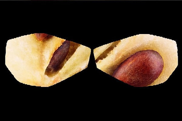 7. Что думаете?