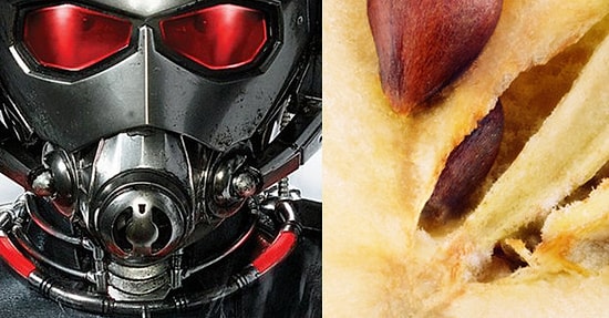 Тест: Смогли бы вы видеть так же хорошо, как Человек-муравей, будь у вас его костюм?