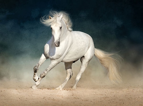 Жаждущий знаний