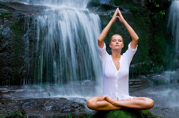 5. В каком органе есть четыре камеры?