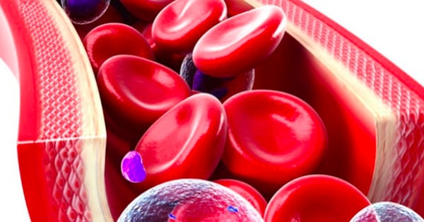 8. Какой орган производит инсулин?