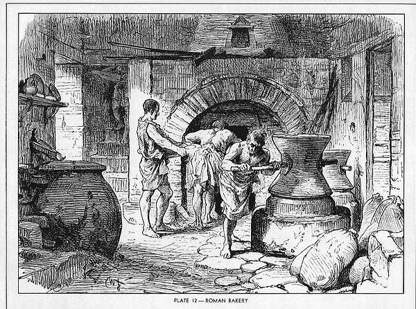 Bira mayası bulunmadan önce Avrupa’da fırıncılar mayalanması için hamura idrar katarlardı.