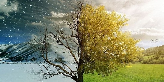 Народные синоптики: Сможете ли вы по приметам определить, какая будет погода?