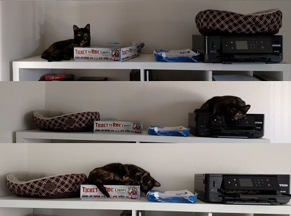 10. "Засунь себе эту кровать куда подальше, человек"