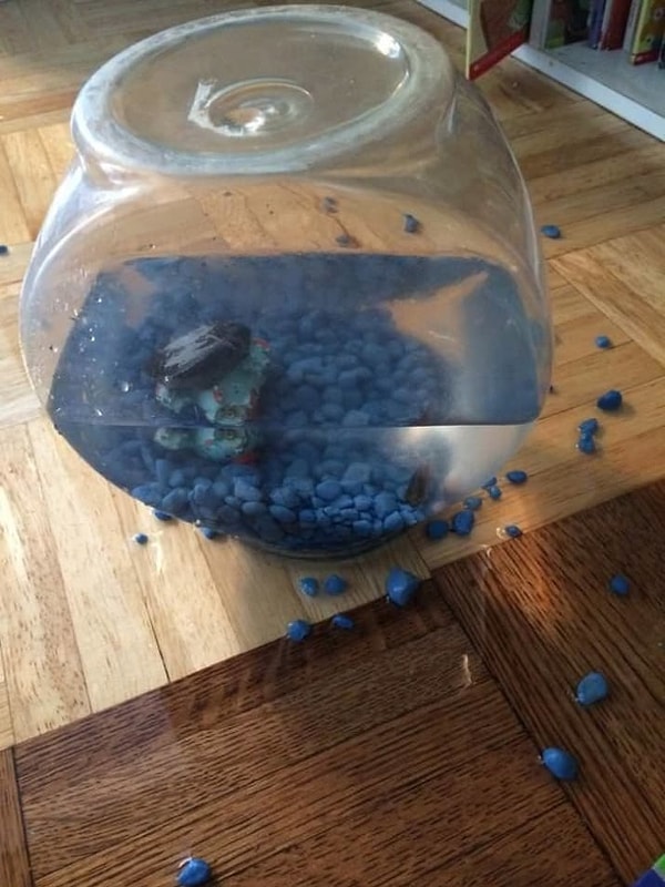 11. "И аквариум туда же затолкай"