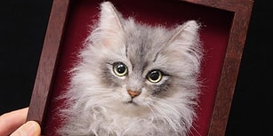 Japon Artist'in Keçe Kullanarak Yaptığı 3 Boyutlu Kedi Portrelerini Görünce Gözlerinizden Kalpler Fışkıracak!