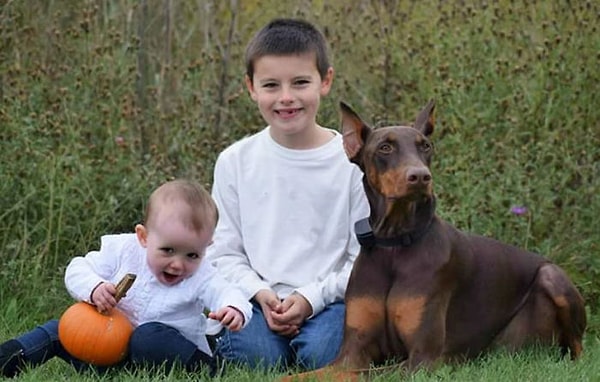 2. В 2016 году у Конора было диагностировано посттравматическое стрессовое расстройство, тревожное состояние, cиндром дефицита внимания и гиперактивности. Также мальчик страдает от ночных приступов из-за неконтролируемой тревожности.