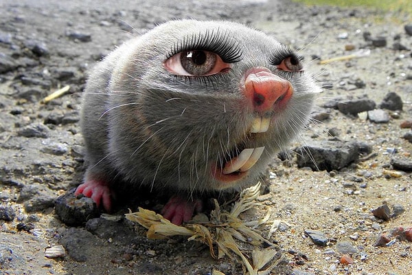 6. "Какой такой макияж?"