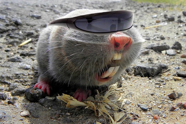 9. "Это че, правда люди сделали? Не могу поверить!"