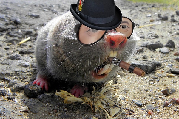 12. "Все, что нажито непосильным трудом"