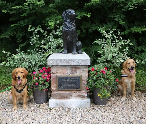 Вот как проходило само торжество 😍❤️