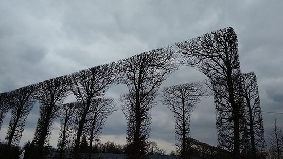 Перфекционизм не всегда хорошо? Как вечным стремлением к идеалу можно навредить самому себе