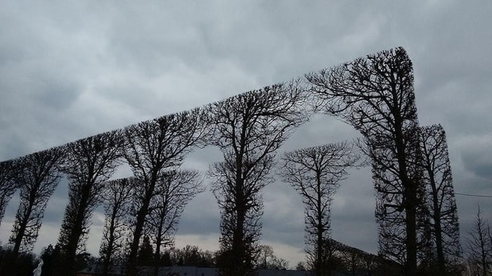 Перфекционизм не всегда хорошо? Как вечным стремлением к идеалу можно навредить самому себе