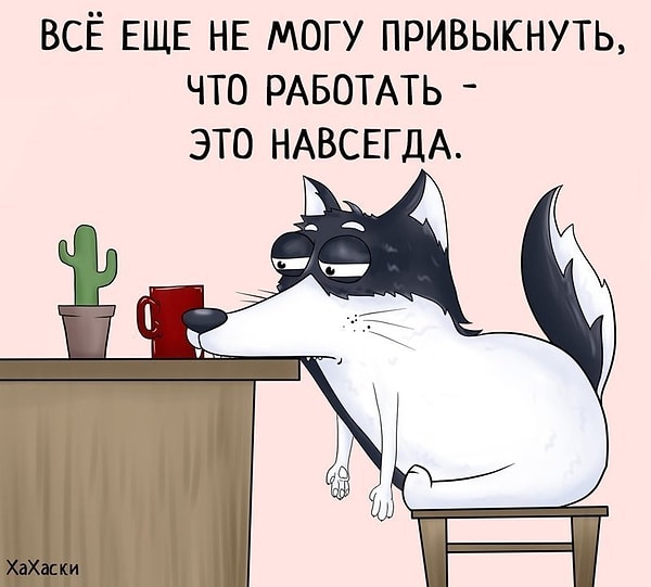 14. Ну зачем напоминать!