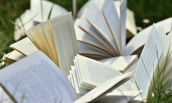 8. Литература