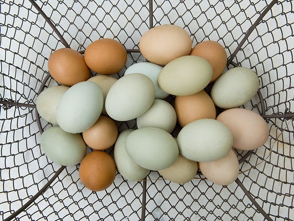 8. Сколько примерно яиц вы съедаете в неделю?