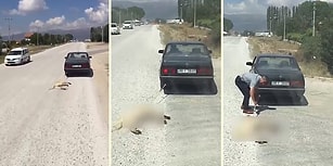 Köpeği Arabanın Arkasına Bağlayıp, Sürükleyerek İşkence Eden Cani!