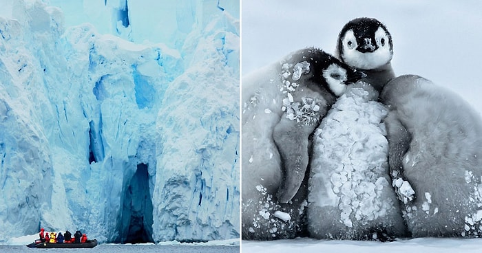 Тест: Сможете ли вы протянуть в одиночку в Антарктиде хотя бы неделю?