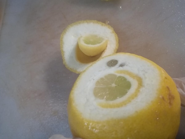 10. Limonception?