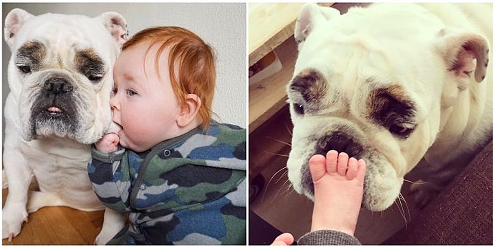 Финли и Эрни: крепкая дружба этих двоих заставит вас улыбнуться даже в самый ненастный день