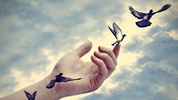 5. Двигайтесь дальше