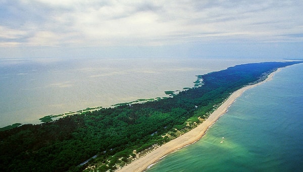 4. Куршская коса