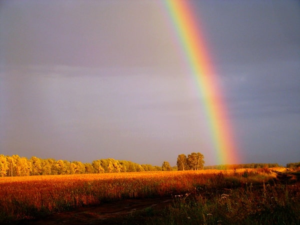 9. Какая будет осень, если на Успенье, 28 августа, появится радуга?