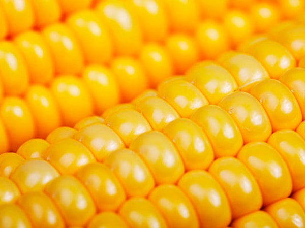 7. Кукуруза - это...