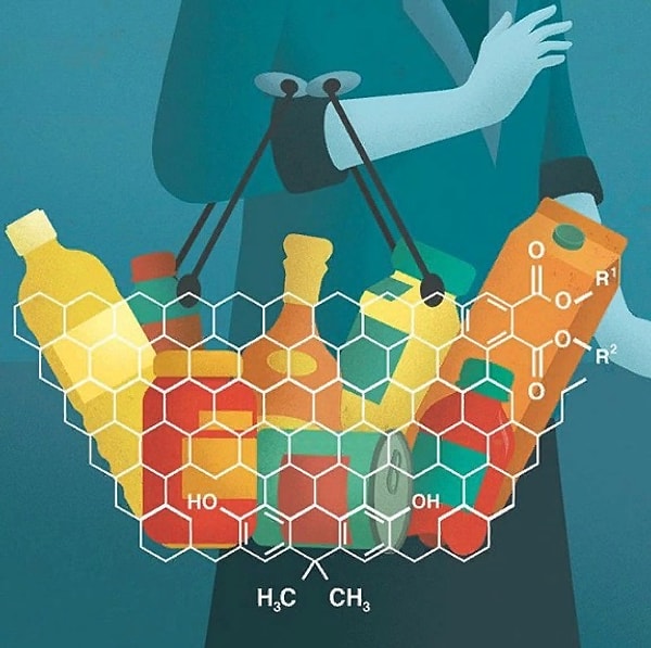 4. Вкус науки