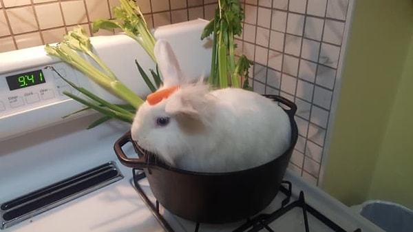 11. Вечеринка начиналась вполне обещающе, а потом откуда-то запахло жареным...