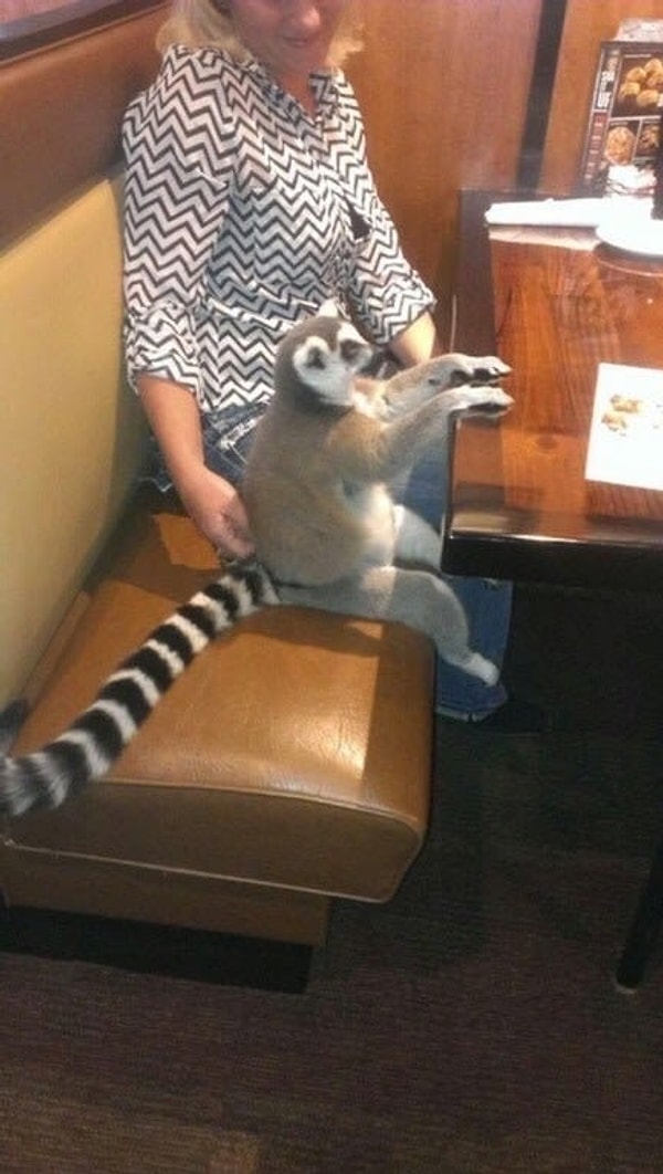 18. Когда заказал свой напиток 15 минут назад и стараешься не выйти из себя.