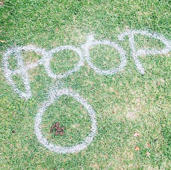 7. Когда ваш сосед - это Капитан-очевидность.