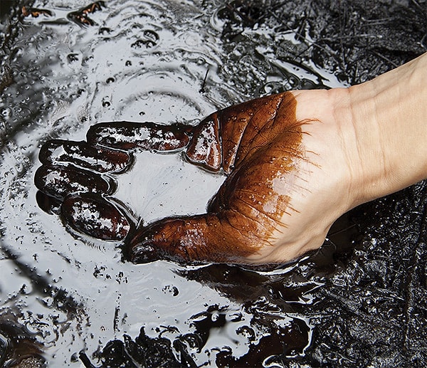 Поздравляем! 👏👏